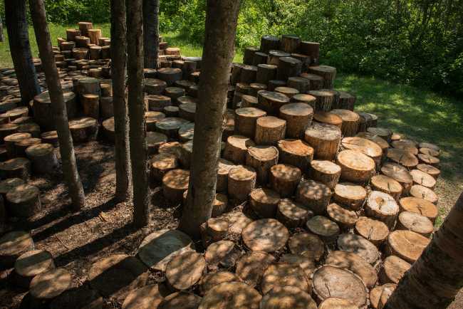 Installazione con tronchi di legno