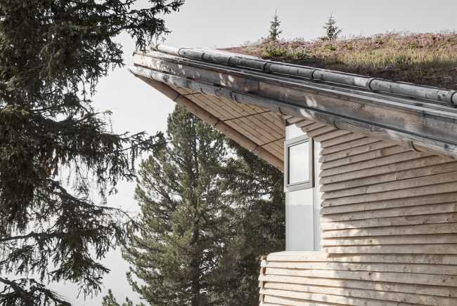 Appartamenti in legno e tetto giardino