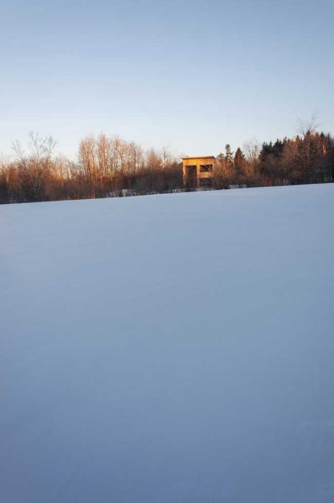 Un rifugio in legno che si fonde nel paesaggio canadese: Wood Duck
