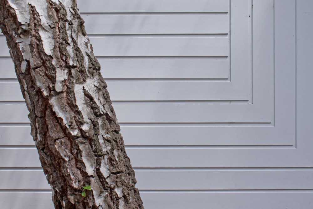 Bifamiliare in legno ad un piano