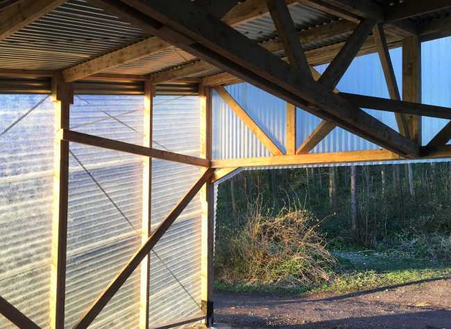 Laboratory among the trees with wooden structure and transparent walls fiberglass corrugated steel