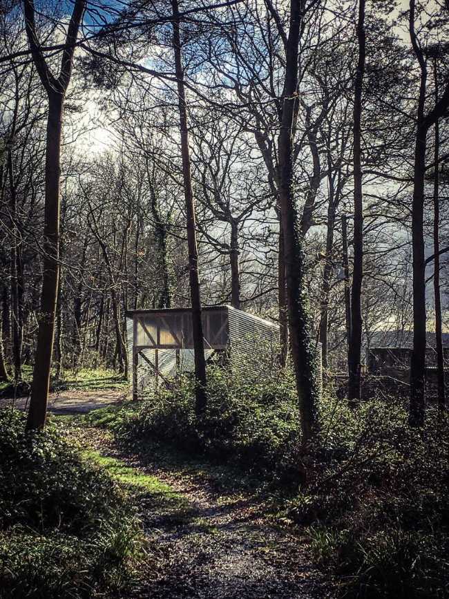 Laboratory among the trees with wooden structure and transparent walls fiberglass corrugated steel