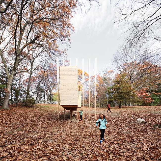 Common areas in wood