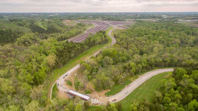 Paesaggio verde con alberi