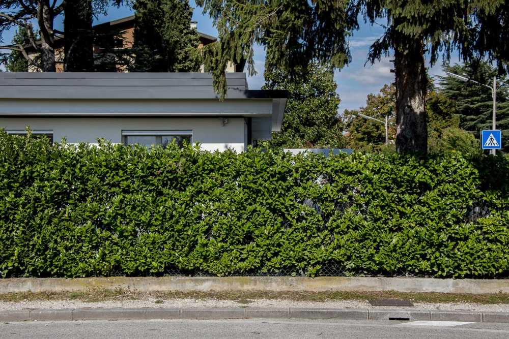 Villa unifamiliare in legno intonacata di bianco