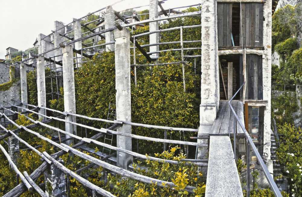 Recupero di serre da alti pilastri in pietra e assi di legno