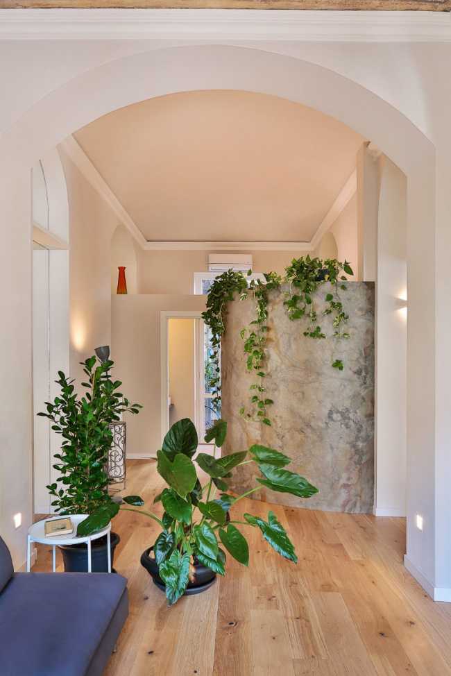 Piante pendenti e arcate