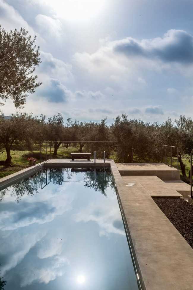Piscina tra gli ulivi
