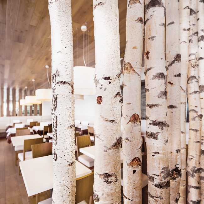 Interno ristorante in legno