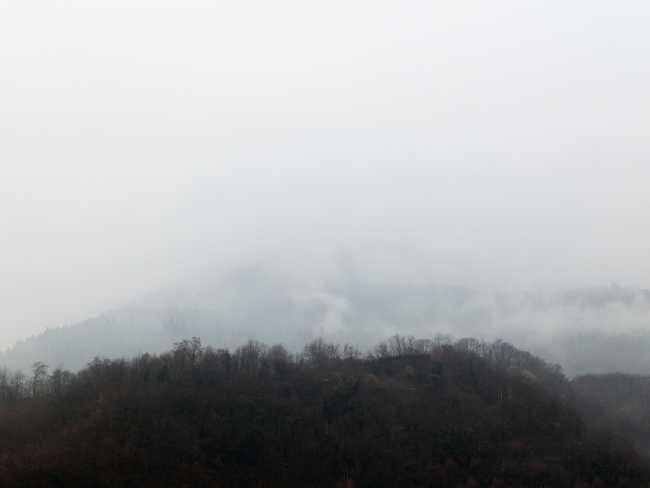 Landscape of the mist