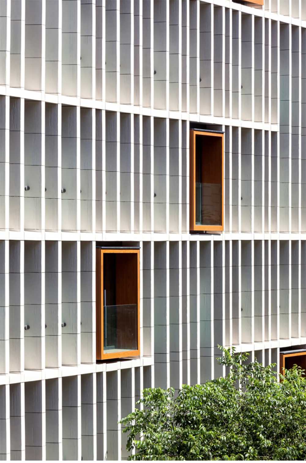 Renovated facade with wooden frames that break the rhythm