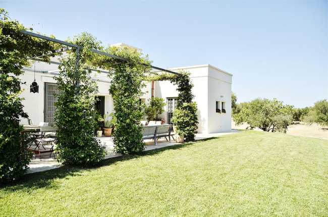 Prato verde e terrazza con vegetazione