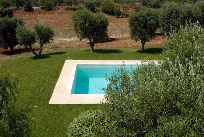 Piscina tra gli alberi di ulivo
