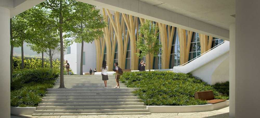 Campo verde di un campus