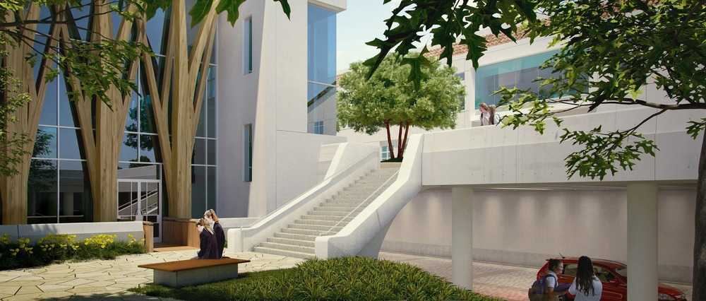 Campo verde di un campus