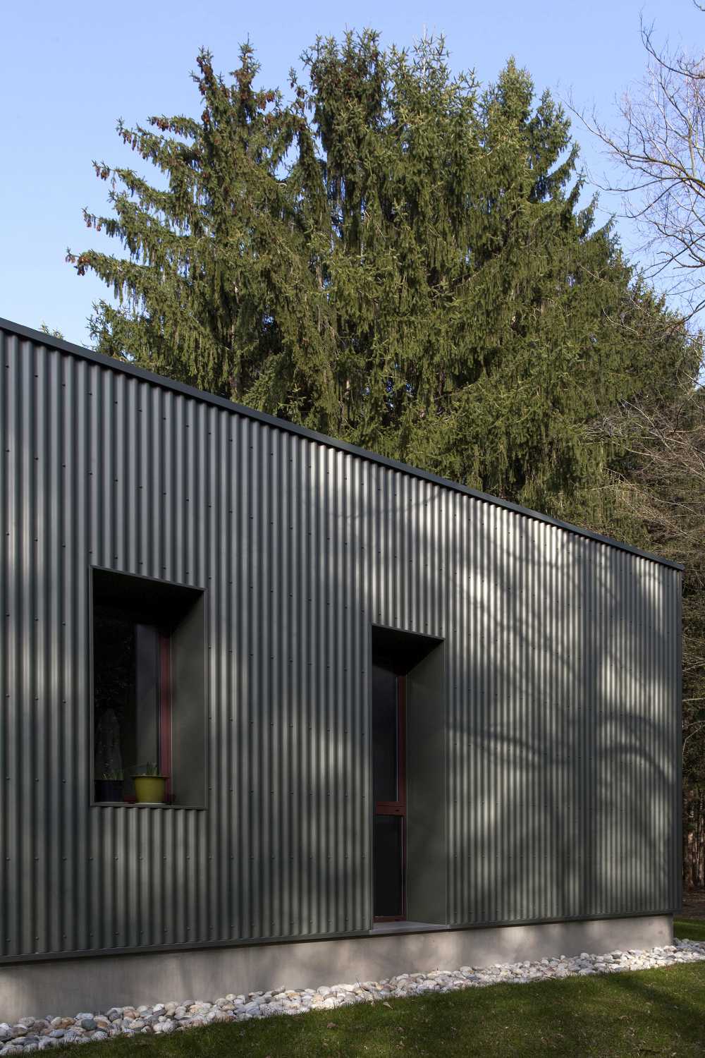 Casa nel bosco