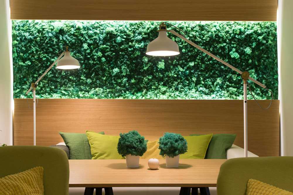 Interno ristorante con sedie verdi