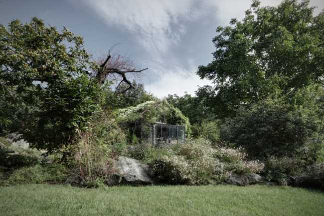 volume ricoperto da piante