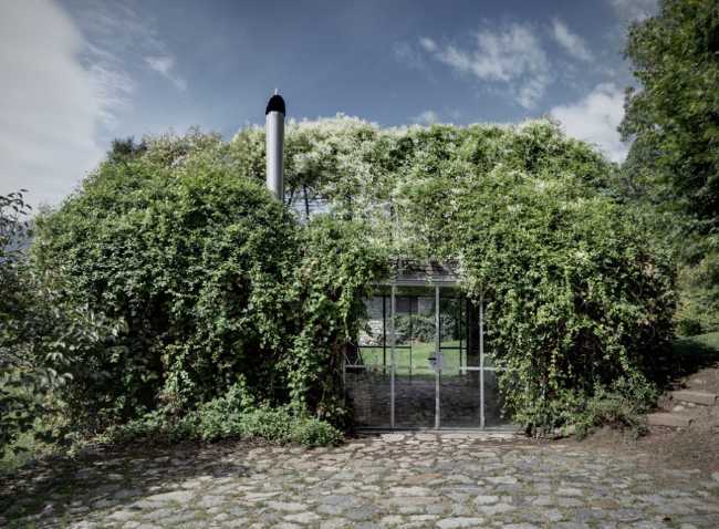 Volume ricoperto da piante