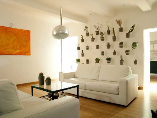 Parete con piante a soffitto