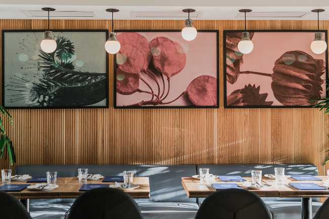 concept store restaurant wood cladding and graphics color wall
