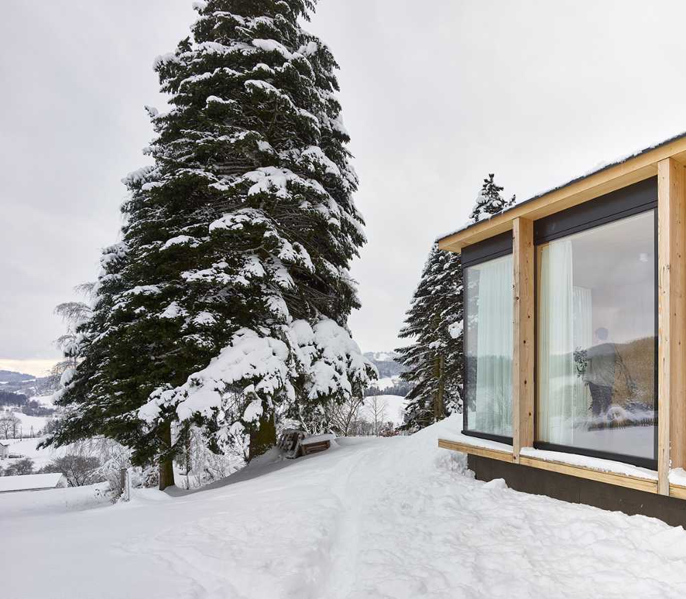 Extension in wood and glass