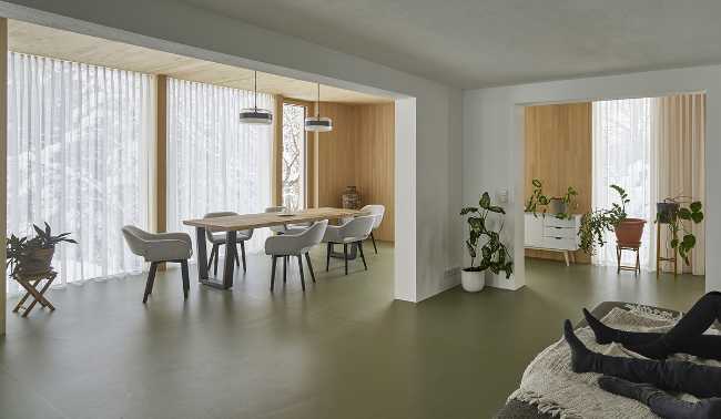 Living room surrounded by windows