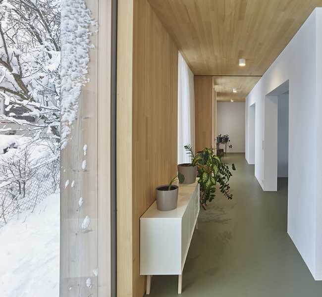 Circumferential extension in wood