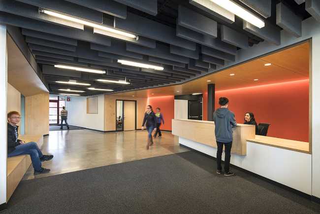 all colored of orange