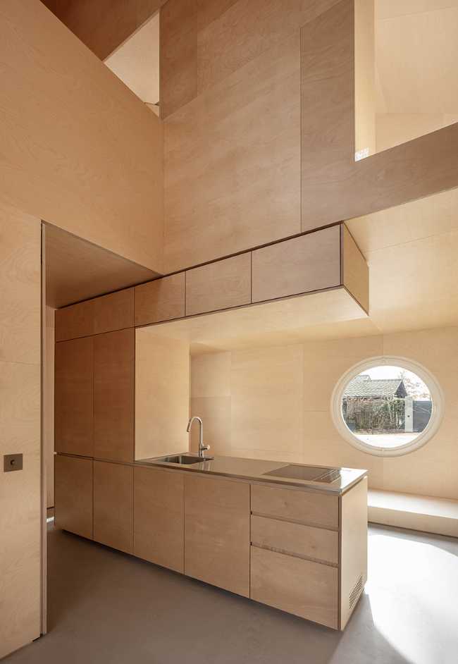 Interior in birch wood