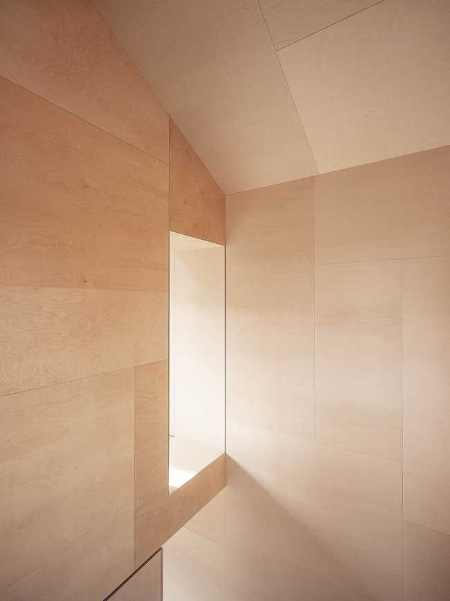 Natural lighting birch wood interior