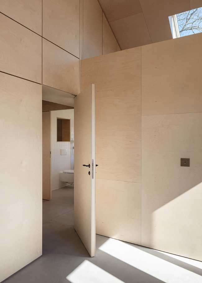 Interior in birch wood