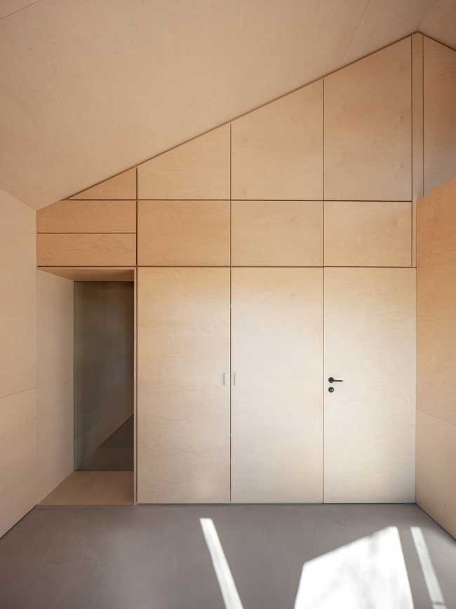 Interior in birch wood