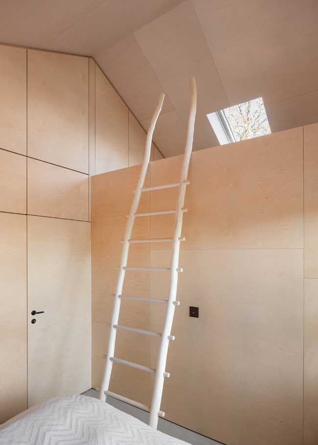 Interior in birch wood