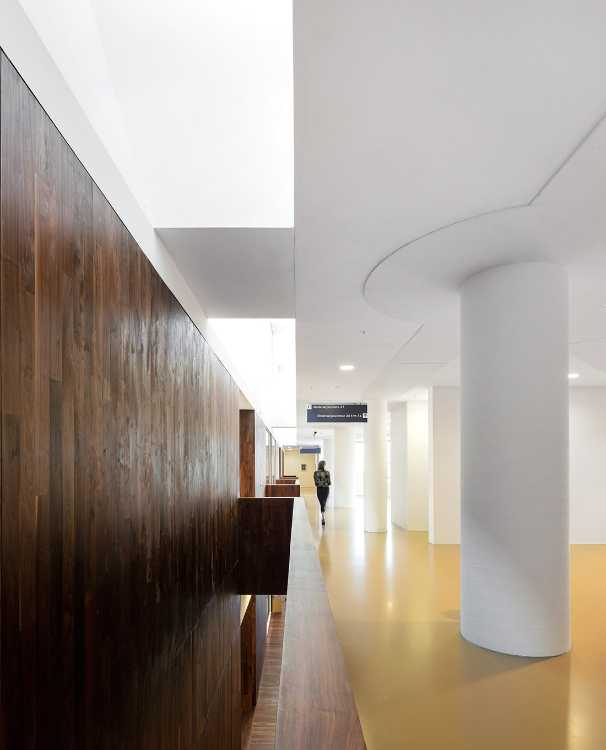 Universidad entrada aulas revestimiento madera