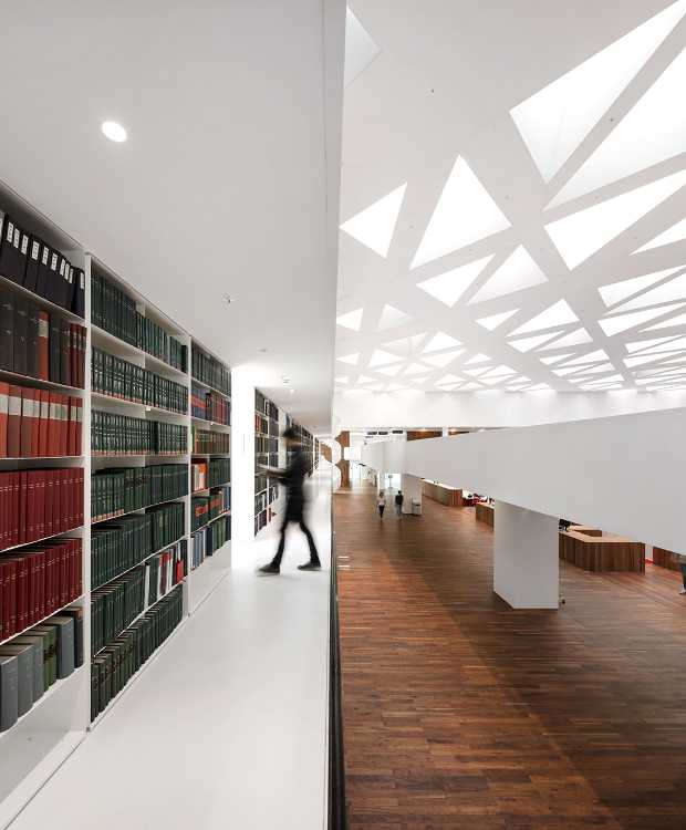 Universidades de la madera y el cemento