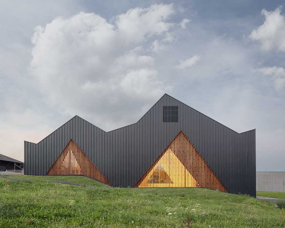 Facade Multifunctional wooden center