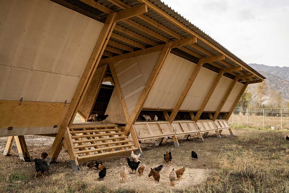 Wooden structure for chickens