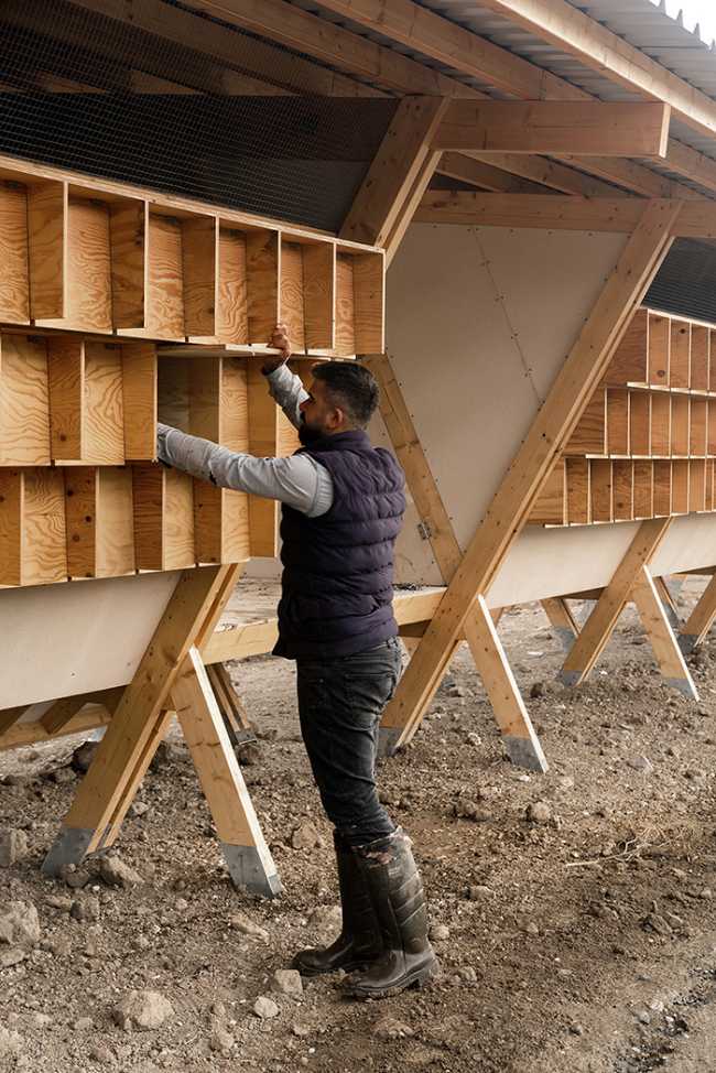 Struttura in legno per polli in costruzione