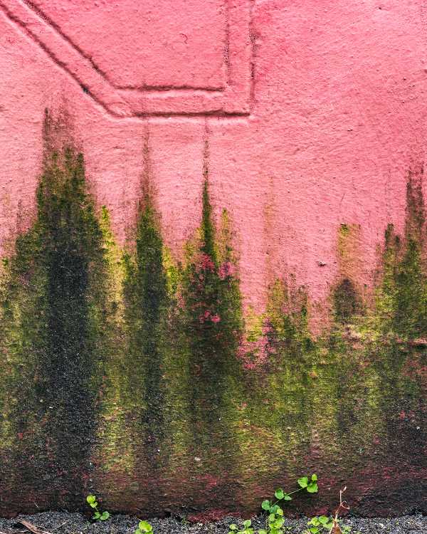 fotografia urbana Miami Green Mold