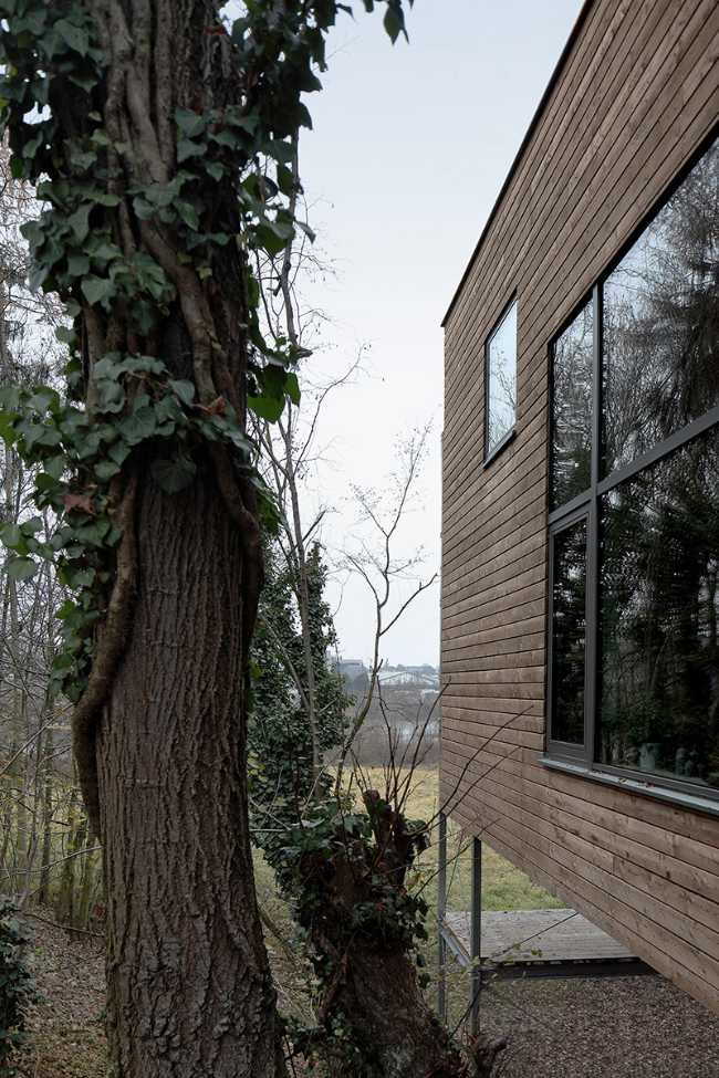 Casa tra gli alberi sospesa su una struttura in acciaio