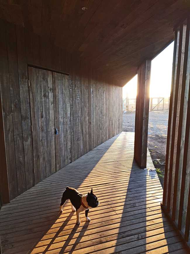 Terrace with sun rays