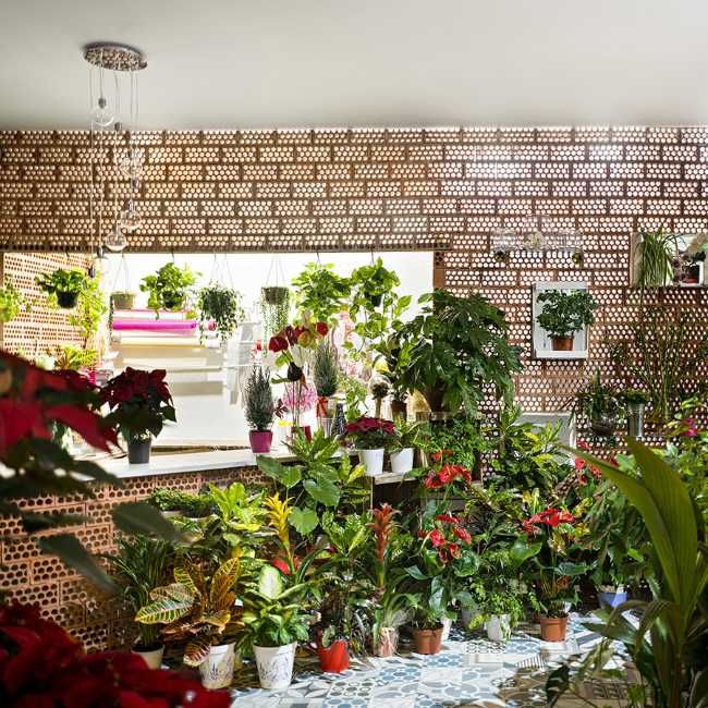 Flower lighting shop behind the perforated bricks