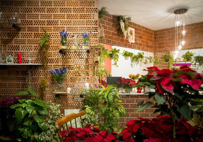 Flower shop restyling