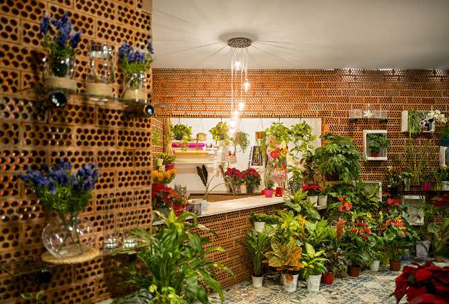 Flower shop restyling