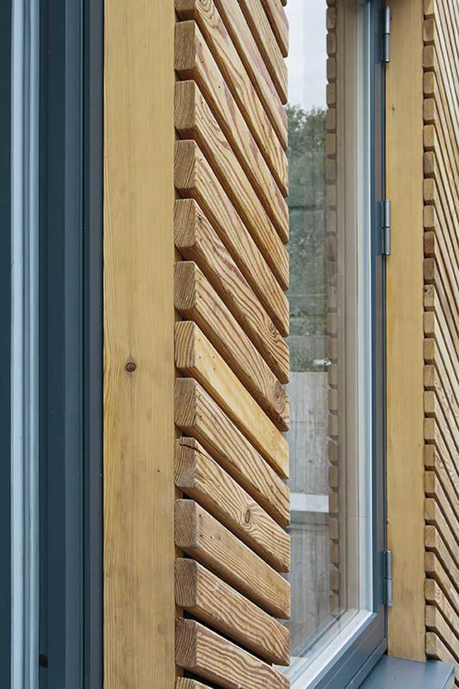 Detail of laths in larch wood