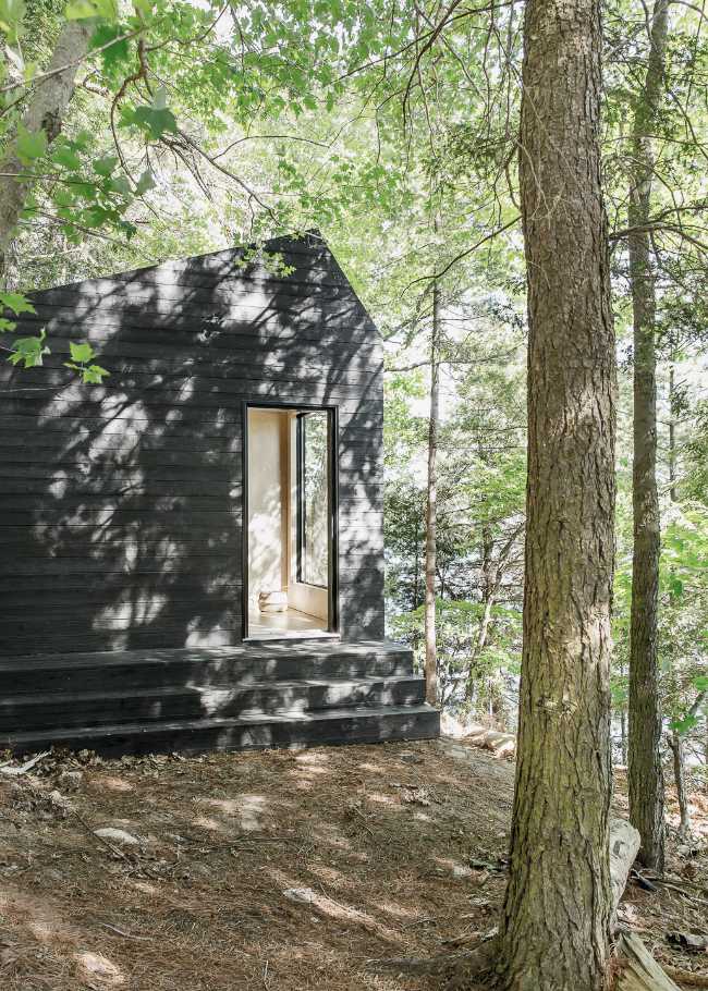 Cabin in a pine forest