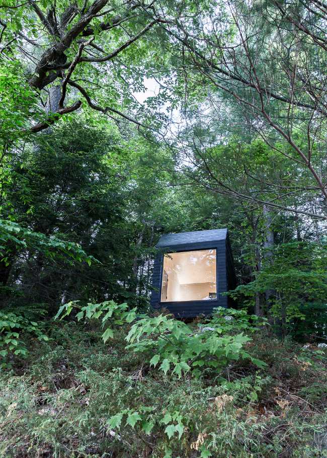 Cabin between the trees