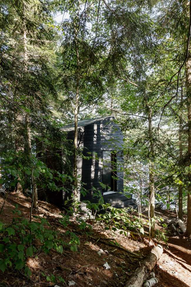 Cabin between the trees
