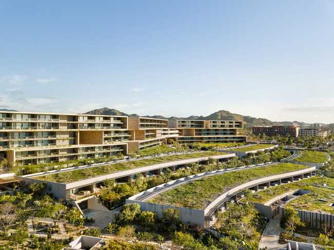 organic california hotel sea view terrace